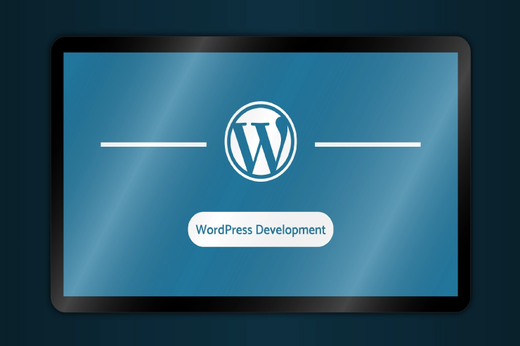 WordPress Web Development Services in Delhi